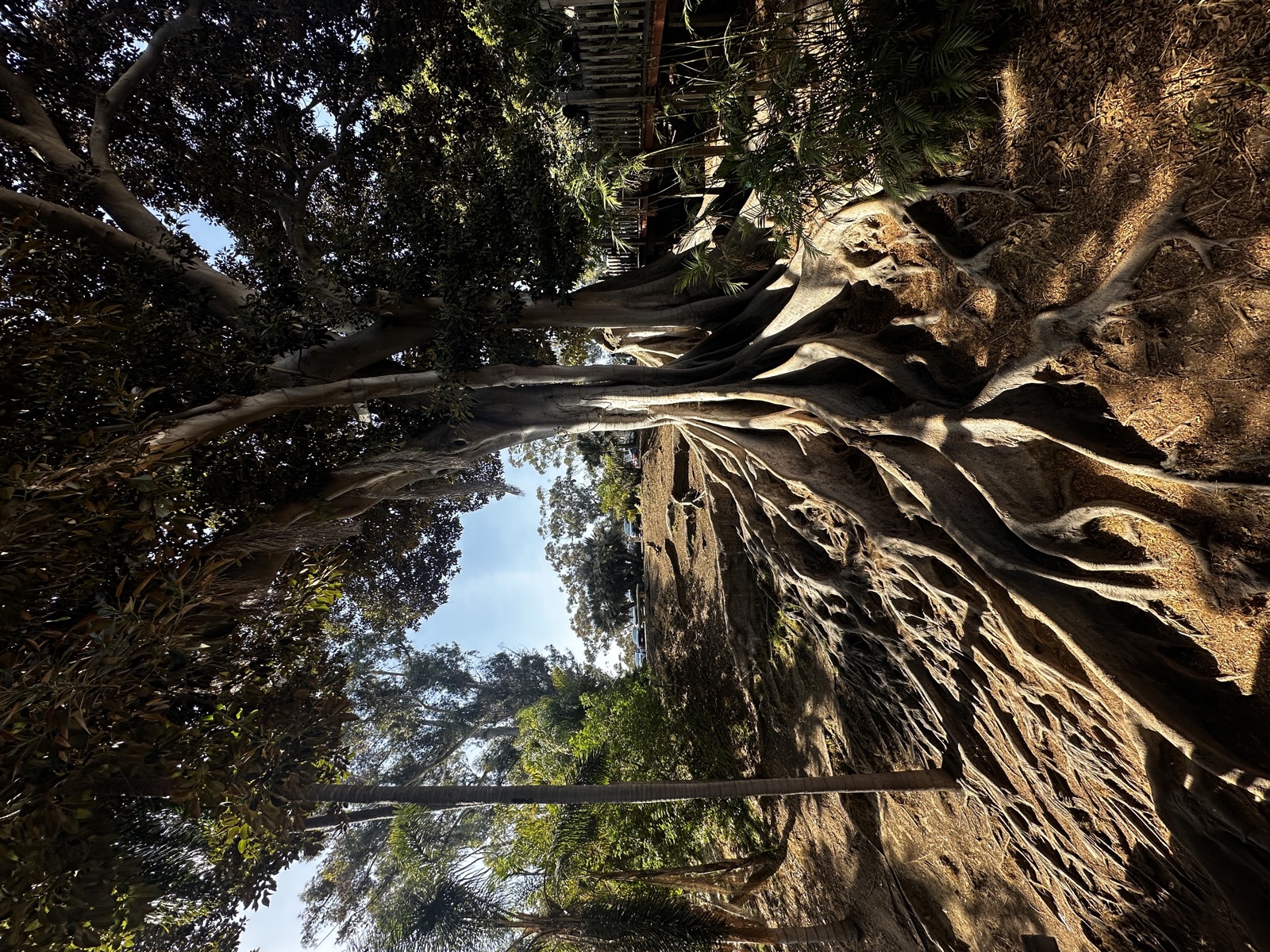Balboa Park, San Diego
