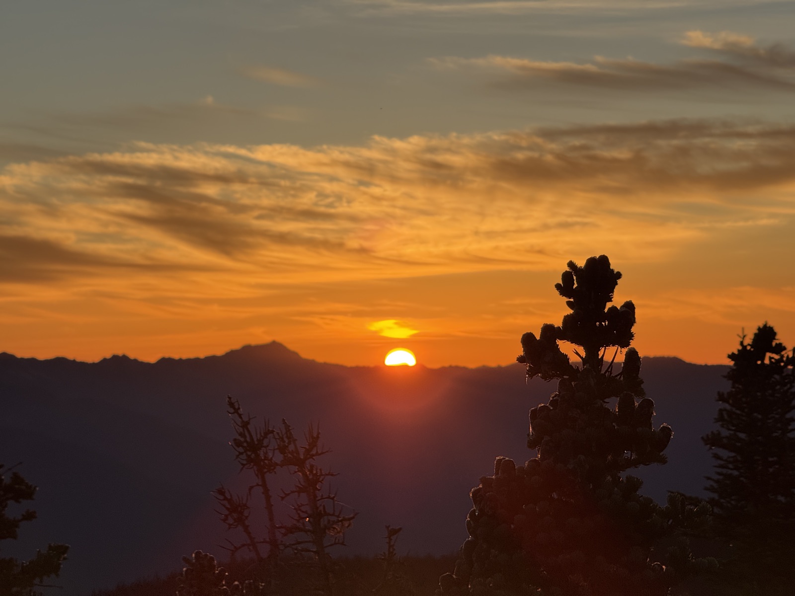Olympic NP, WA